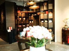 -王德传茶庄(上海新天地店)