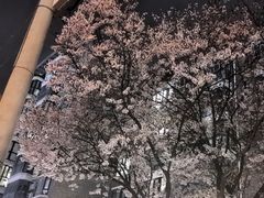-原麦山丘(凯德MALL·大峡谷店)