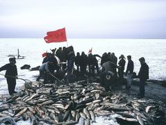 -1886德国汽车餐厅(外滩中央店)