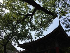 -关中书院