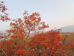-周口店坡峰岭风景区