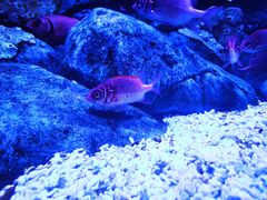 -成都浩海立方海洋公园