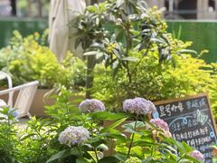 -Beans Solo豆号咖啡(百家湖花园店)
