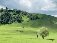 -新疆那拉提国家旅游度假区