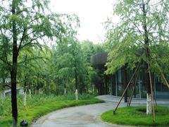 -黄海国家森林公园