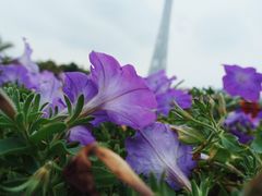 -海心沙亚运公园