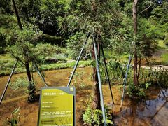 -云溪植物园
