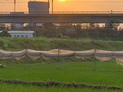 -光明小镇欢乐田园