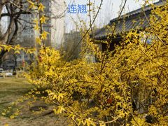 -北京明城墙遗址公园