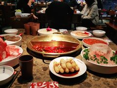 -小龙坎火锅(春熙太古里店)