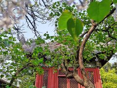 -北京国子监胡同