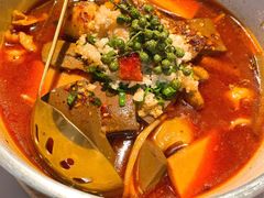 -梧桐Plus·创意京·川料理(万象城店)