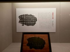 -北京大学赛克勒考古与艺术博物馆