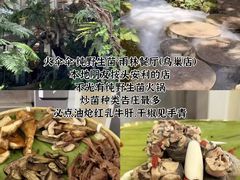 -西双版纳原始森林公园