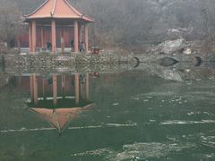 -连云港云龙涧原生态风景区