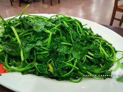 西洋菜-华仔土鸡店(创意产业园店)