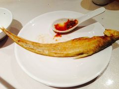 -东营蓝海御华大饭店渔歌舫(潍河路店)