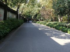 -杭州半山国家森林公园