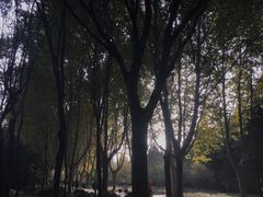 -郑州植物园