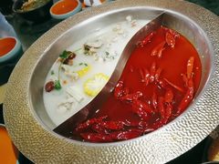 -麻田会 ·鲜活现烹·牛蛙火锅(珠江新城维家思广场店)