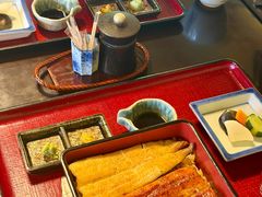 -料亭菊水楼