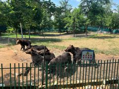 -秦皇岛野生动物园
