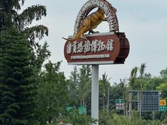 -自贡恐龙博物馆