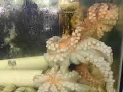 -明记海鲜大排档(巽寮湾店)
