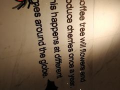 -星巴克(汾阳路店)