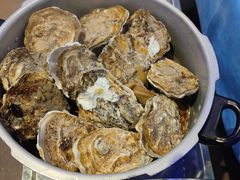 -千岛蚝高压锅生蚝·人参火锅(白云万达店)