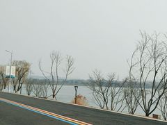-羊山湖公园