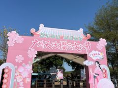 -天适樱花悠乐园