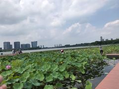 -暨阳湖生态园