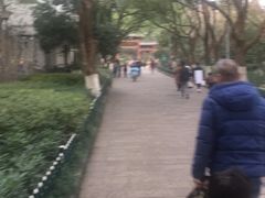 -杭州半山国家森林公园