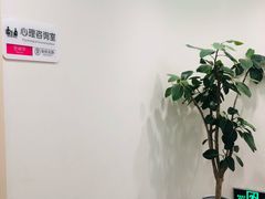 -知心鸟·注意力多动·情绪冲动·感统失调发育迟缓(五角场万达广场店)