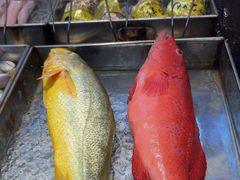 -宋园·金宴浙鲜馆(静安店)