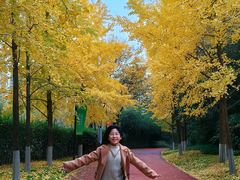 -城市运动公园(未央区)