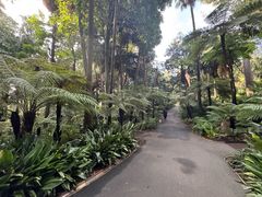 -墨尔本皇家植物园