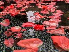 -厦门日月谷温泉渡假村