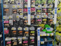 -迪卡侬(雨花店)