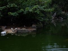 -昆明动物园