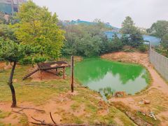 -西霞口神雕山野生动物世界