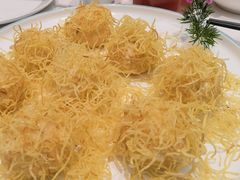 -丁老爷子苏香圆
