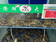 -阳澄湖大闸蟹·琼灵阁牌品牌连锁(吴中总店)