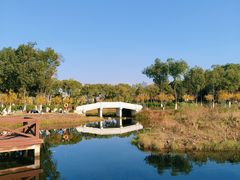 -金银湖国家城市湿地公园