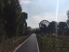 -溱湖国家湿地公园