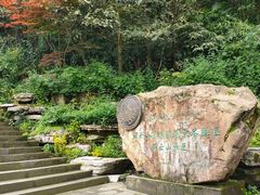 -缙云山景区