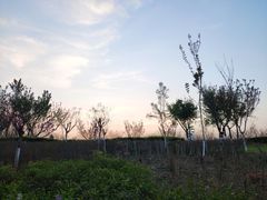 -西安汉城湖景区