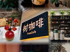 -树咖啡tree coffee