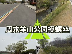 -羊山湖公园